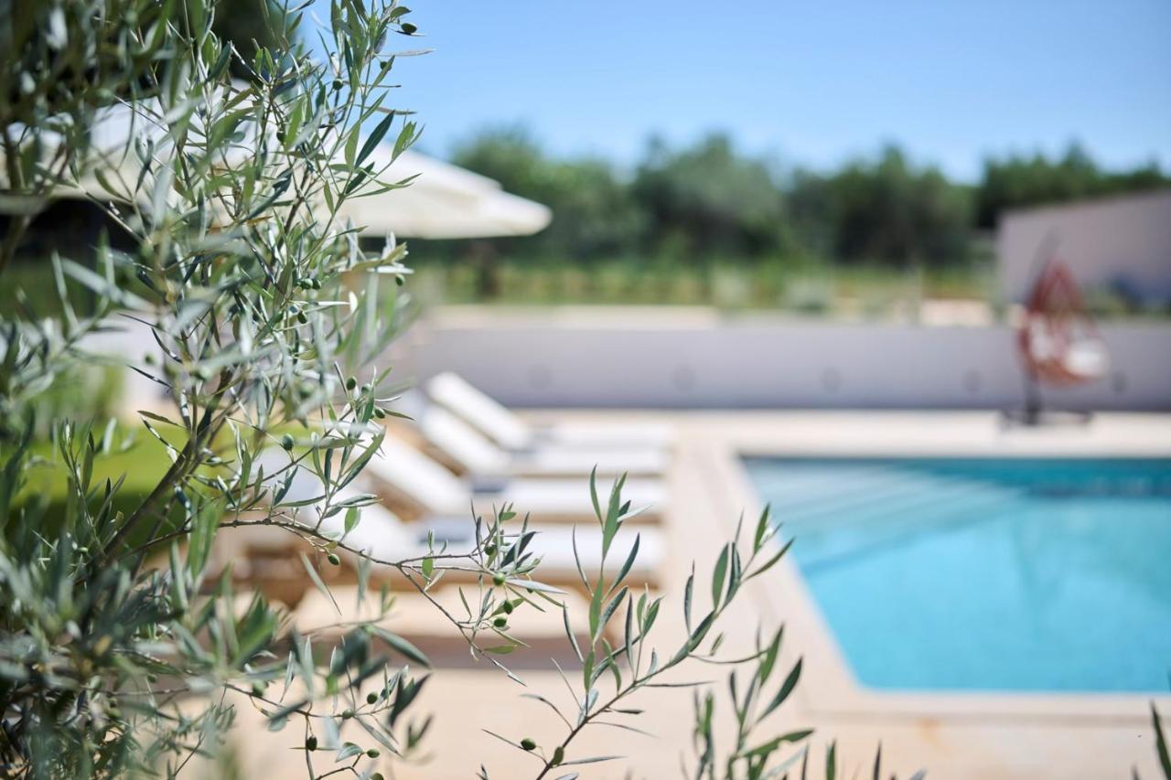 Villa Pura Vida With Pool And Whirlpool Near Umag Materada Kültér fotó